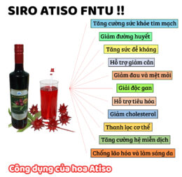 Siro Atiso 750ml (chai thủy tinh)