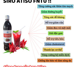 Siro Atiso (chai nhựa)