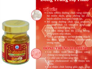 Tổ Yến Chưng Trong Văn Hóa Ẩm Thực Việt Nam !