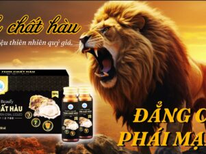 Thành phần trong “TINH CHẤT HÀU” và lợi ích mang lại!