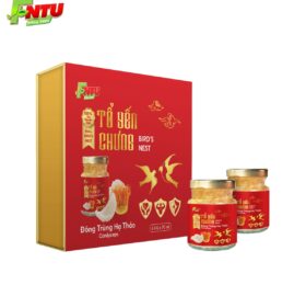 TỔ YẾN CHƯNG ĐÔNG TRÙNG HẠ THẢO