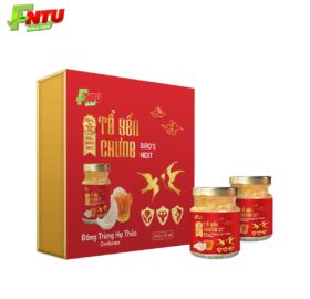 TỔ YẾN CHƯNG ĐÔNG TRÙNG HẠ THẢO